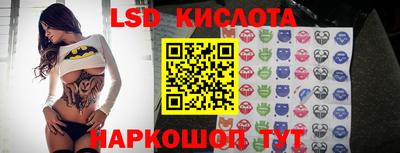 твердый Гусев