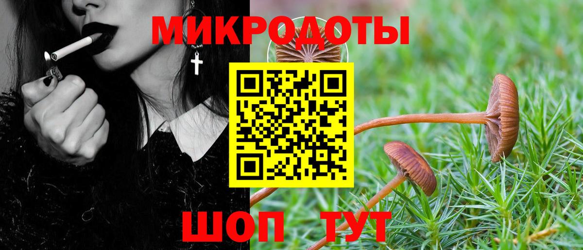 Галлюциногенные грибы Psilocybe  наркошоп  Ржев  Вход с VPN 